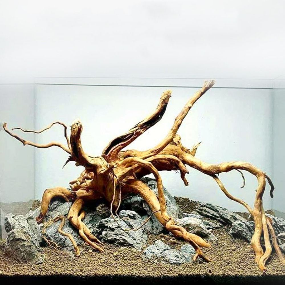 Aquarium Planted Tree - 20-25CM Large Aquarium Driftwood Natural Fish