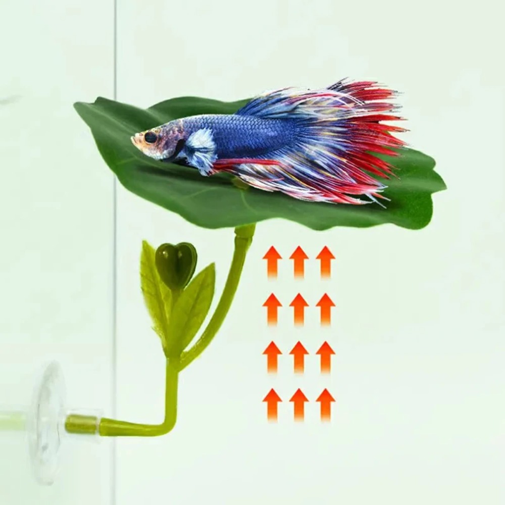 Planted Aquarium Betta - 1PCS Green Leaf Betta Fish Hammock