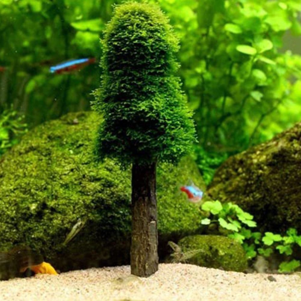 Simulation Christmas Tree Aqua - Planted Aquarium Moss recension och pris
