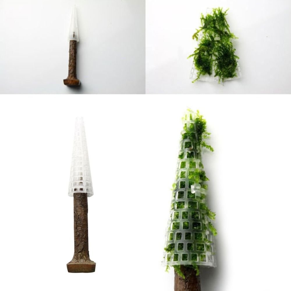 Simulation Christmas Tree Aqua - Planted Aquarium Moss recension och pris