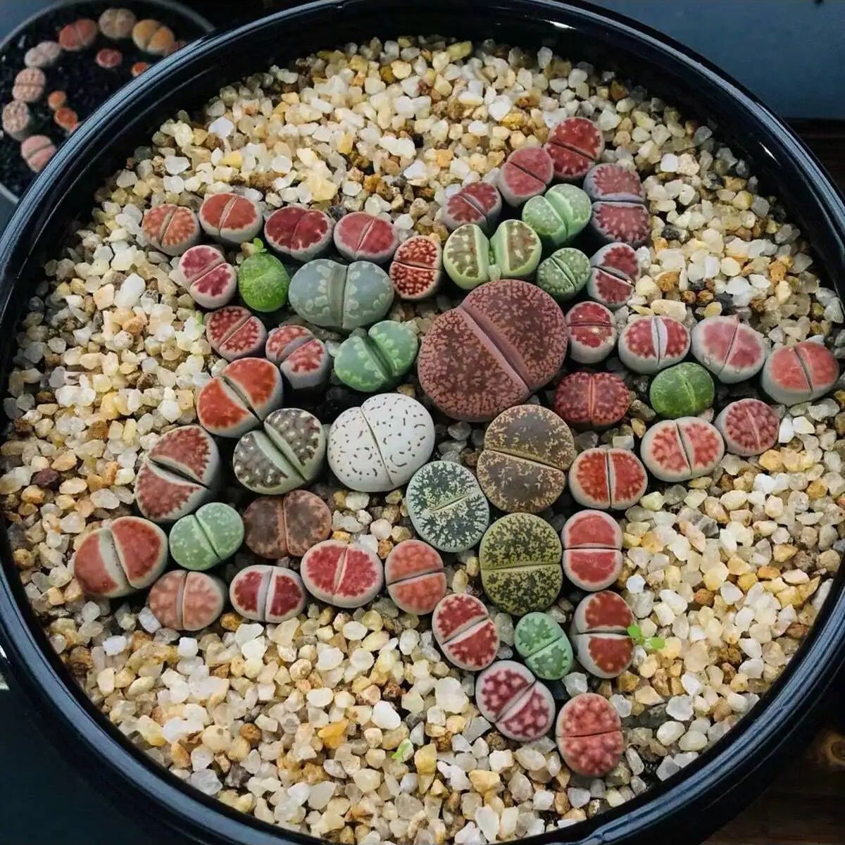 1pc-250g Natural Crystals Grav - Aquarium Plant Gravel recension och pris
