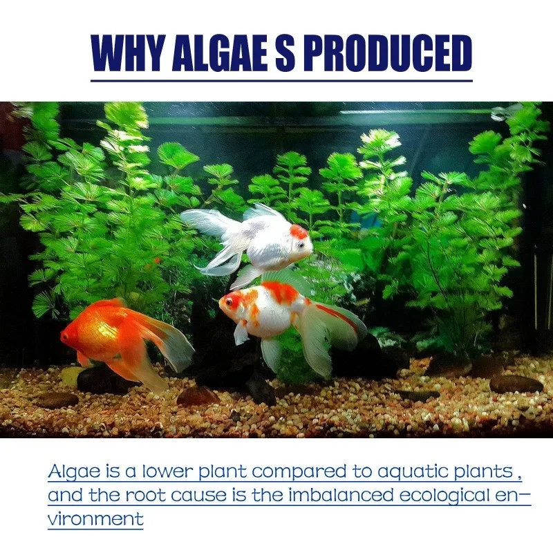 50g High Efficiency Algaecide  - Planted Aquarium Moss recension och pris