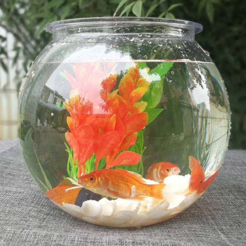 Goldfish bowl desktop transpar - Planted Aquarium For Goldfish recension och pris