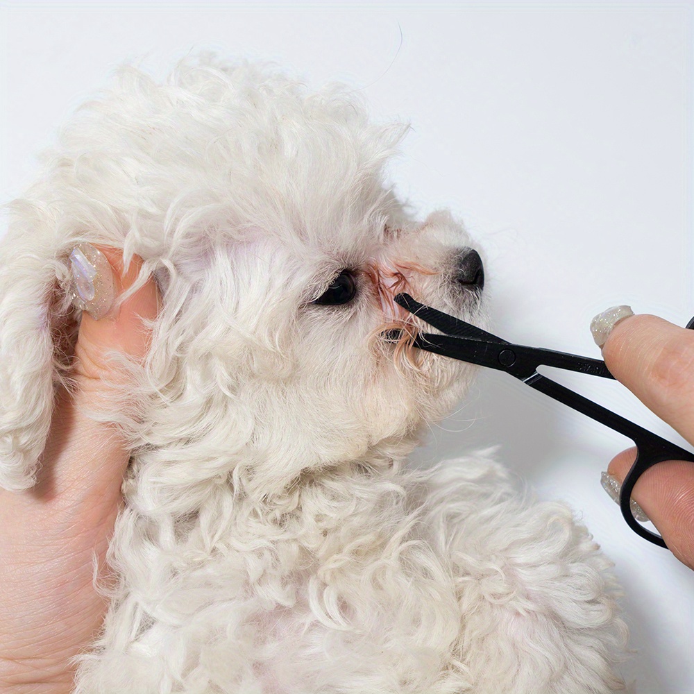 Pet Facial Cleaning Comb Set R - Trimming Scissor Set recension och pris