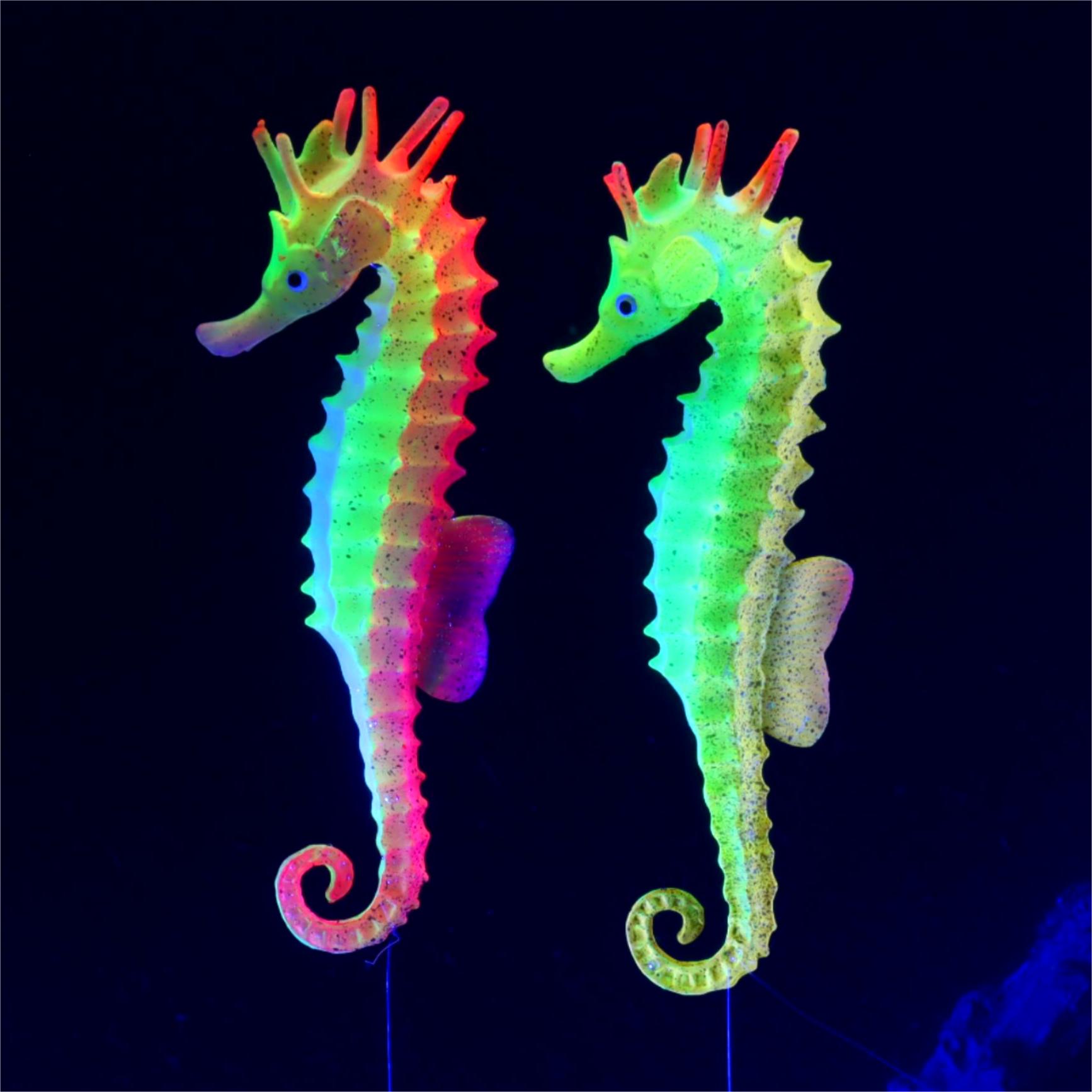 1pc Fish Tank Decoration Lumin - Aquarium Plant Gel recension och pris