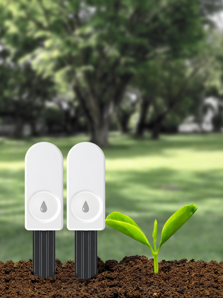 ZigBee Soil Moisture Meter for - Tissue Culture Plant recension och pris