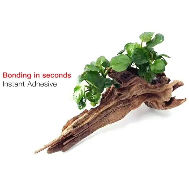 2PCS 5PCS /3/ Moss Clear Glues - Planted Aquarium Moss recension och pris