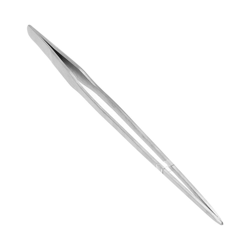 38 Cm Stainless Steel Straight - Planted Aquarium Carpet Plant recension och pris