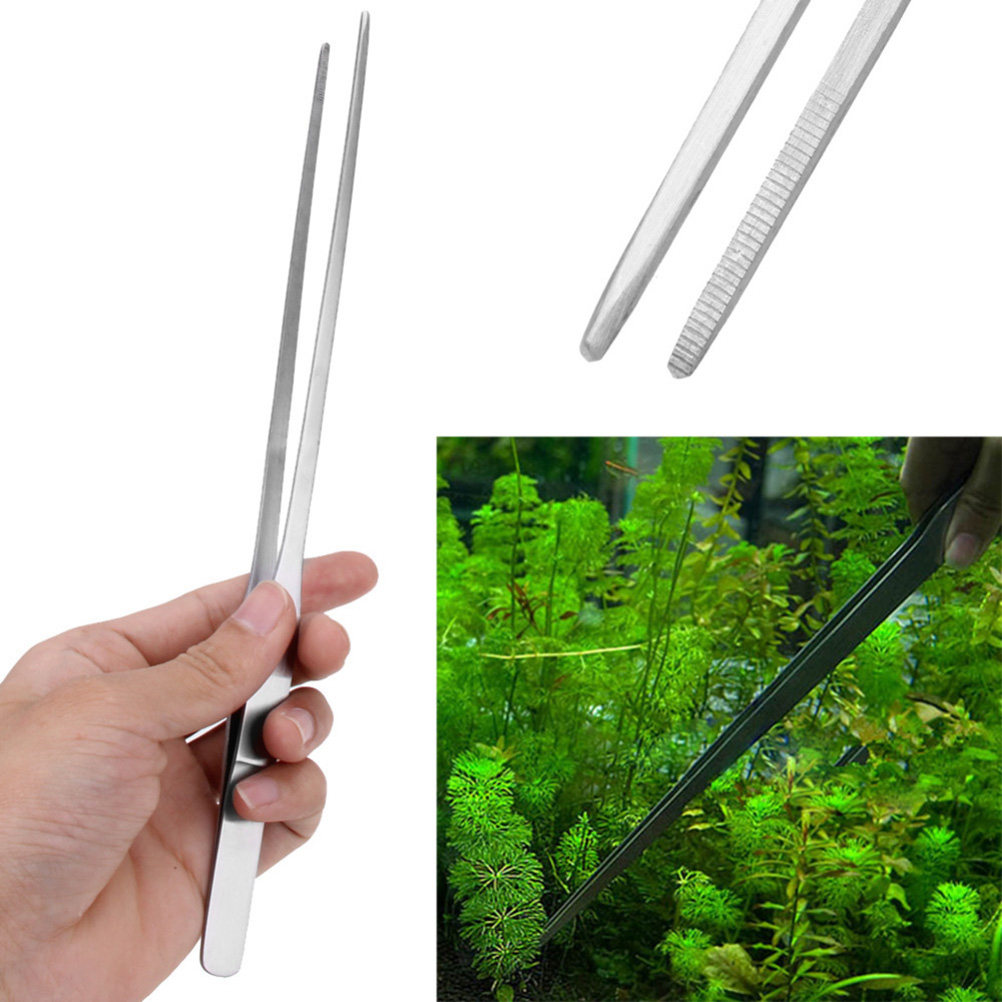 38 Cm Stainless Steel Straight - Planted Aquarium Carpet Plant recension och pris