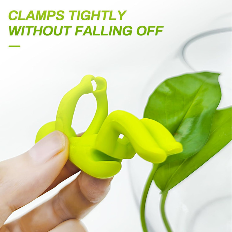 Hydroponic Plant Fixing Figuri - Tissue Culture Plant recension och pris