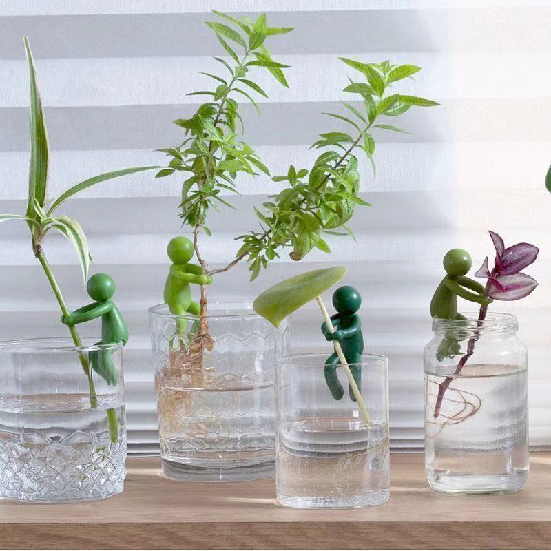 Hydroponic Plant Fixing Figuri - Tissue Culture Plant recension och pris