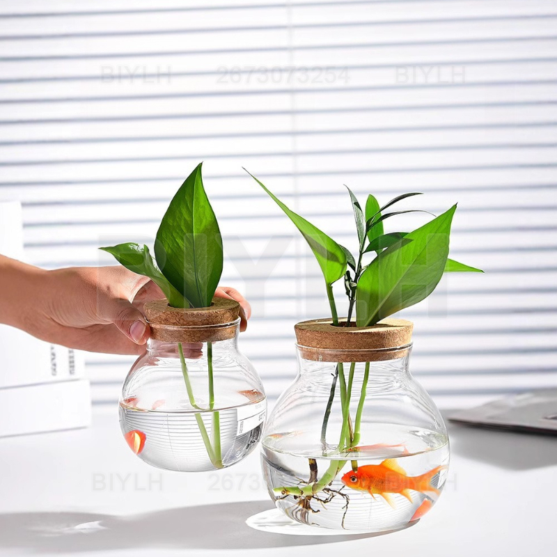 Hydroponic Plant Glass Vase Wi - Tissue Culture Plant recension och pris