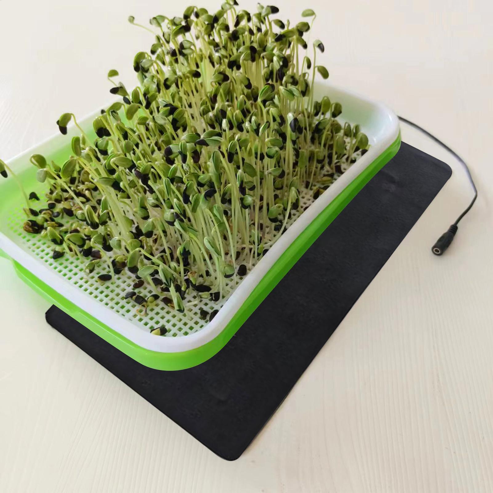 8.5W USB Seedling Heat Mats 3  - Tissue Culture Plant recension och pris