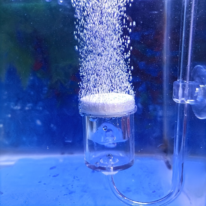 Aquarium Glass CO2 Atomizer Di - Planted Aquarium Equipment recension och pris