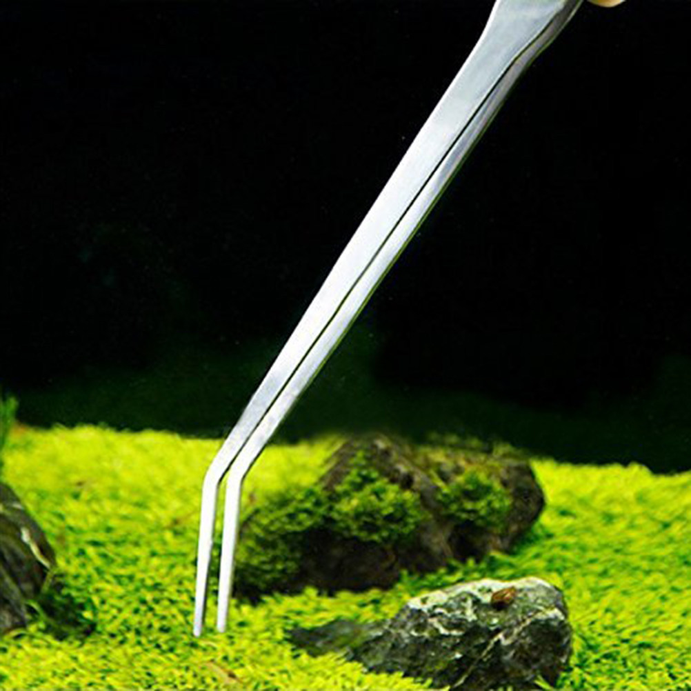 38Cm Stainless Steel Curved Tw - Planted Aquarium Carpet Plant recension och pris