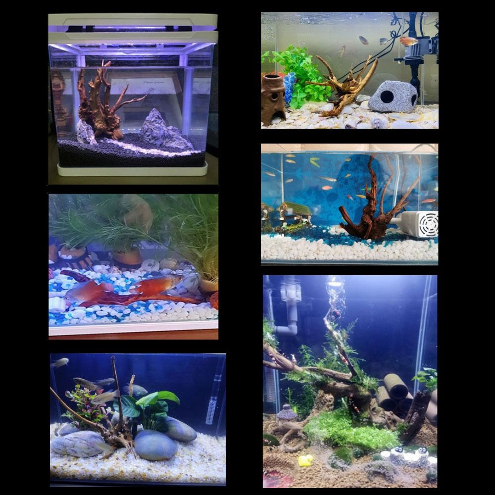 20-25CM Large Aquarium Driftwo - Aquarium Planted Tree recension och pris