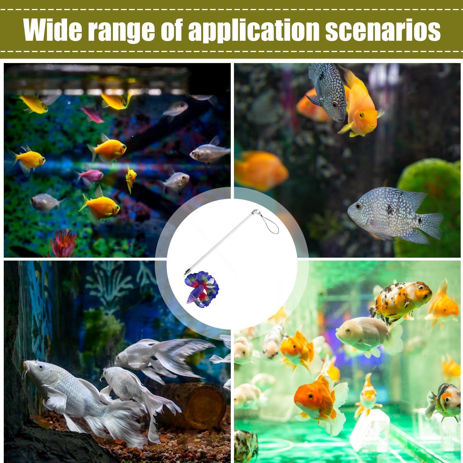 Fish Training Wand For Betta I - Planted Aquarium Betta recension och pris