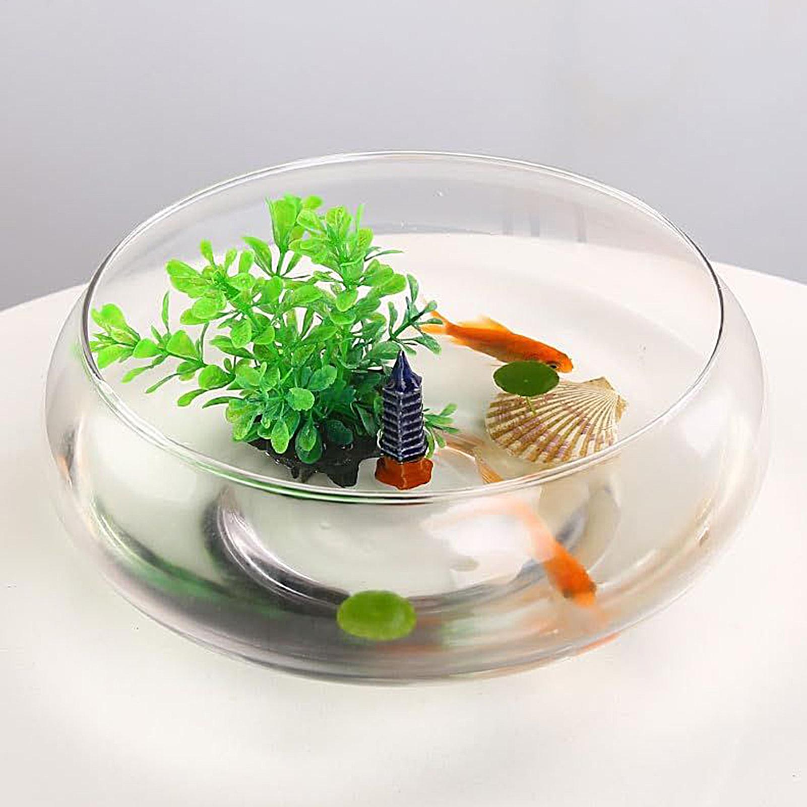Fish Glass Bowl Glass Large Hy - Planted Aquarium For Goldfish recension och pris