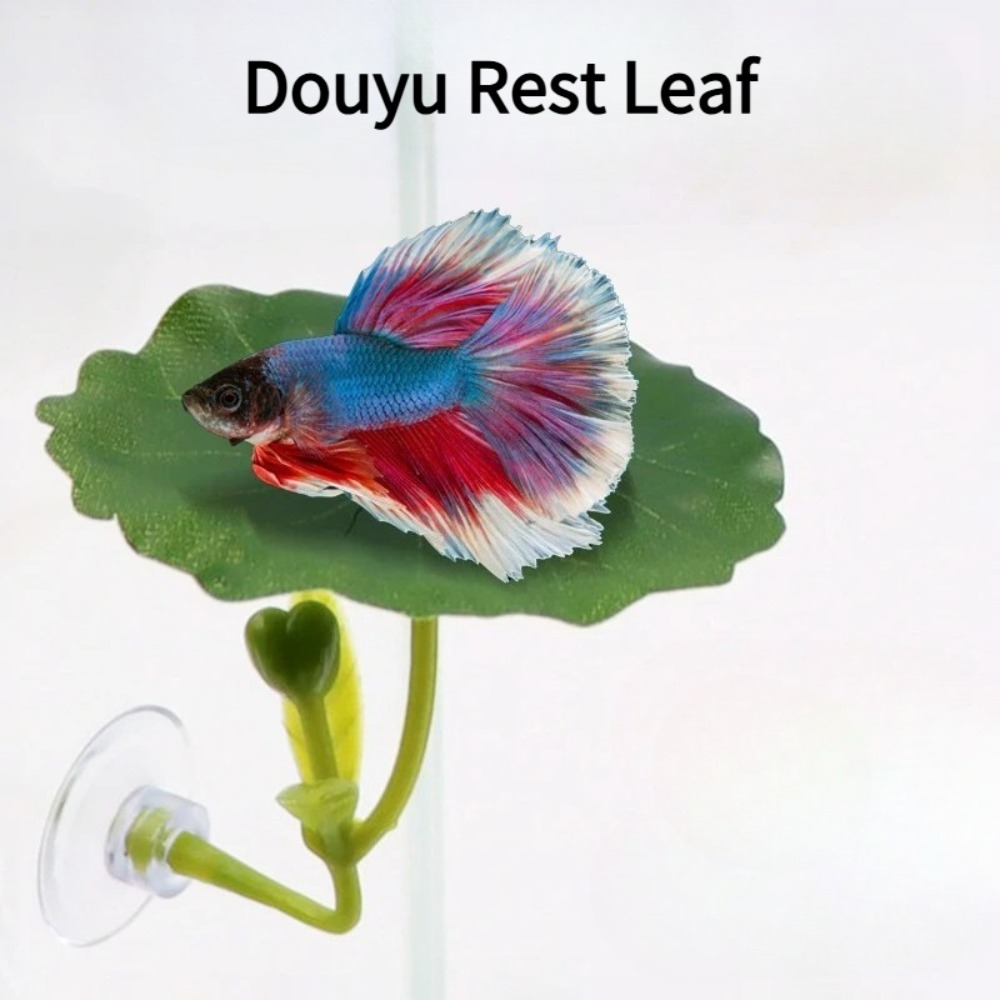 1PCS Green Leaf Betta Fish Ham - Planted Aquarium Betta recension och pris