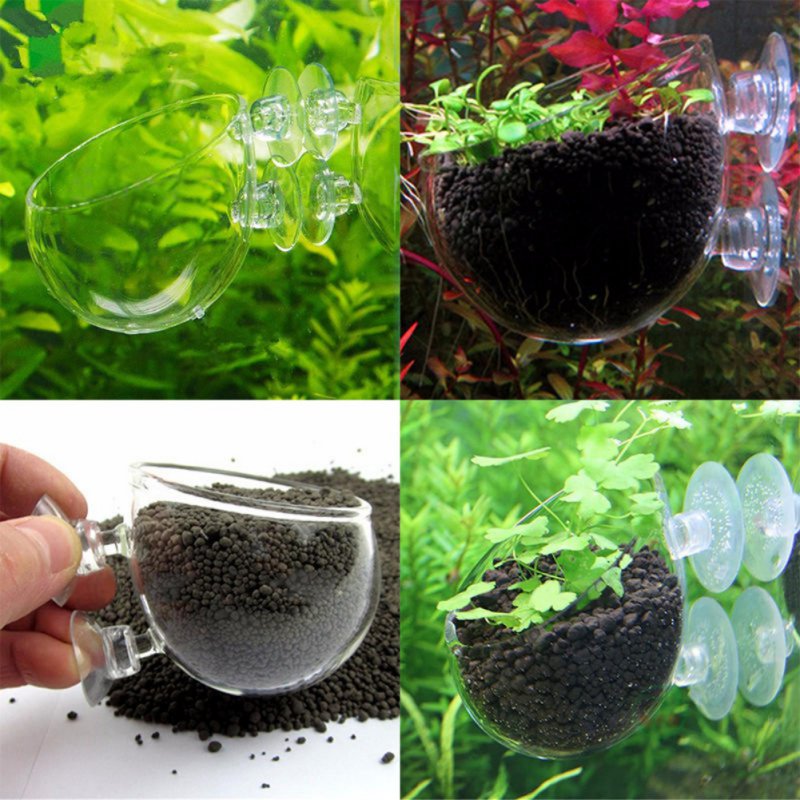 Aquarium Hanging Plant Pot Gla - Planted Aquarium Moss recension och pris