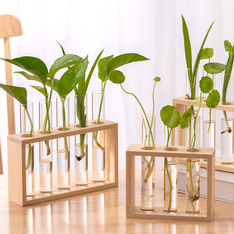 Hydroponic Plants Container wi - Tissue Culture Plant recension och pris