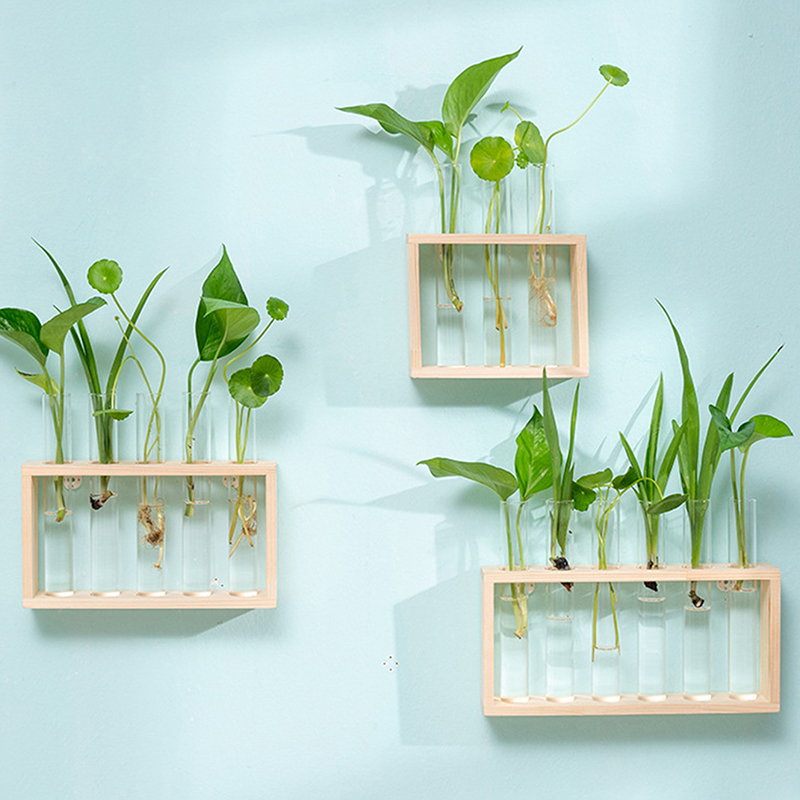 Hydroponic Plants Container wi - Tissue Culture Plant recension och pris
