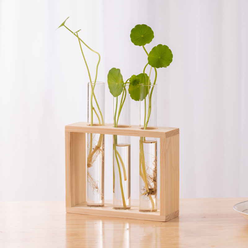 Hydroponic Plants Container wi - Tissue Culture Plant recension och pris