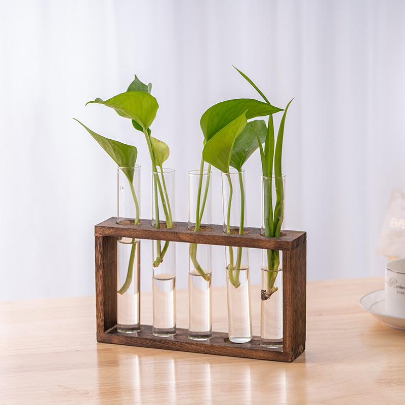 Hydroponic Plants Container wi - Tissue Culture Plant recension och pris