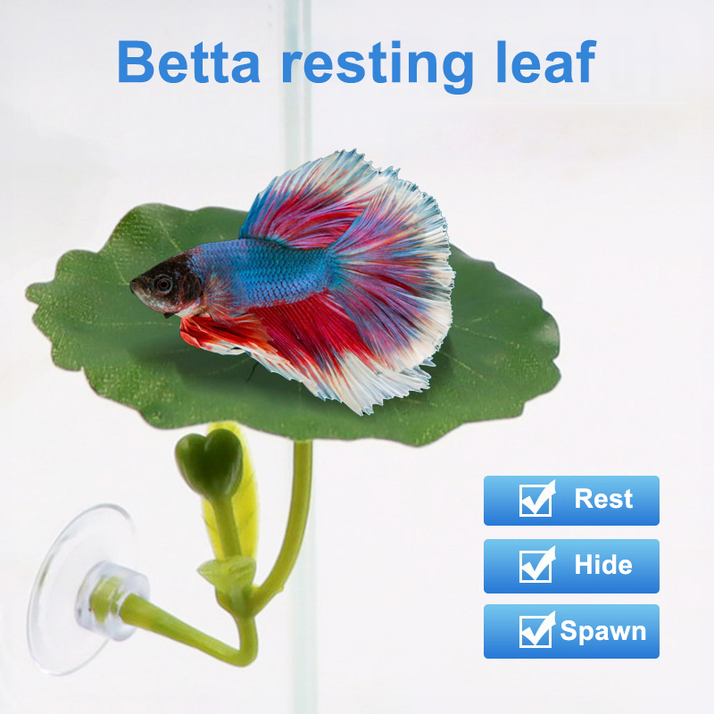 1 Pc For Betta Fish Stress-Red - Planted Aquarium Betta recension och pris